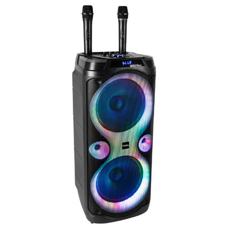 boxa portabila 2x10\'/25cm 250w rms cu usb/aux