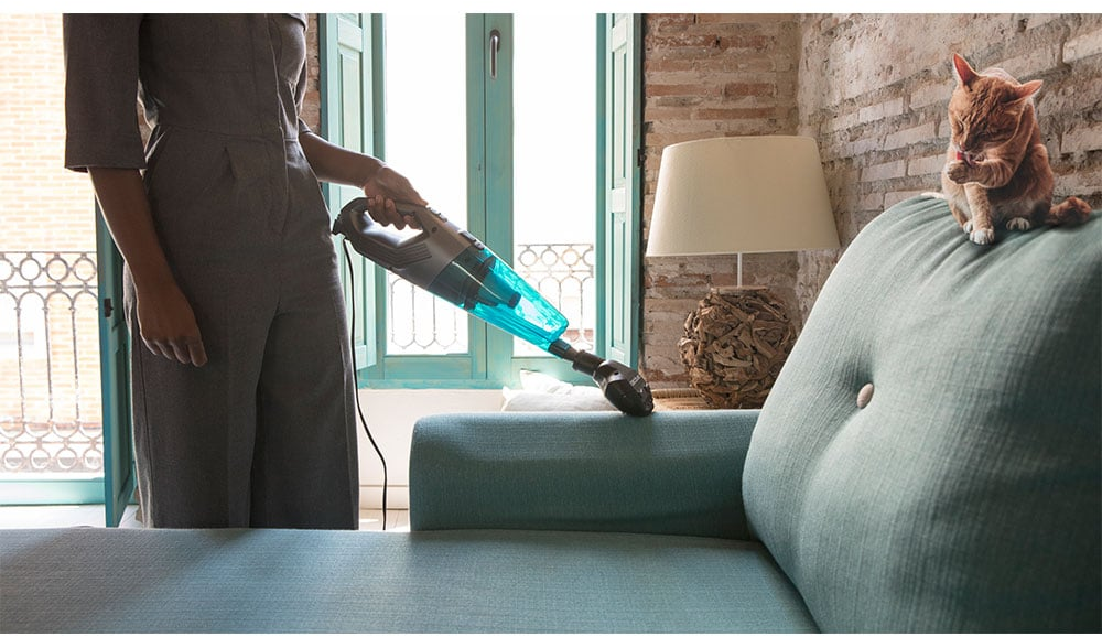 aspirator vertical 2in1 cecotec conga popstar 1500 animal duostick easy, 600 w - imagine 5