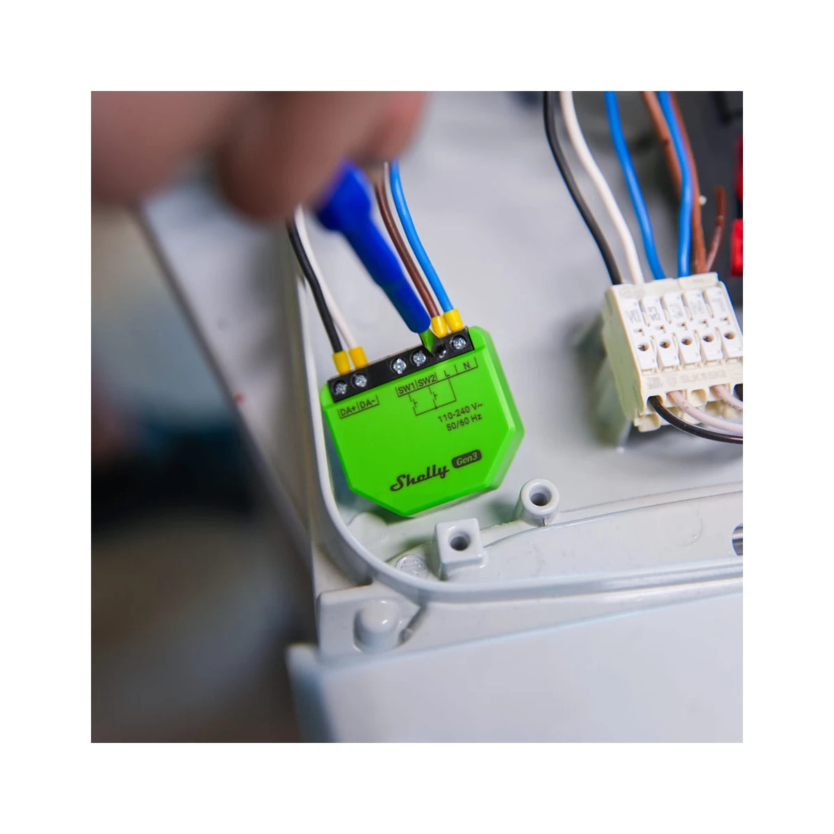 dimmer inteligent pentru sistemul dali - shelly dali dimmer 3 - imagine 3