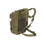 Rucsac Barbati / unisex militar mic, verde - Ghiozdan rezistent la rupere si abraziune camping, Rucsac Barbati / unisex militar mic, verde - Ghiozdan rezistent la rupere si abraziune -1, dioda.ro