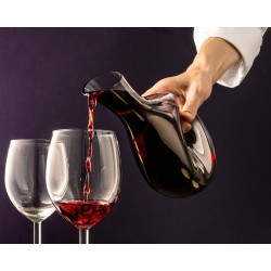 Cadouri Barbati, Carafa decantor de vin (sau pentru bautura preferata) TWISTED -9, dioda.ro