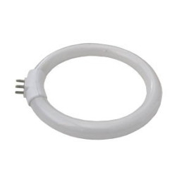 Lampi Iluminare, Bec neon T4/12W - piesa de schimb pentru L-3+12DP-N-12W -1, dioda.ro