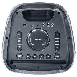 Boxa Portabila 2x10"/25cm Cu Bt/fm/usb/sd