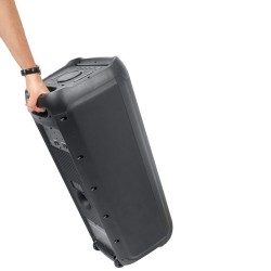 Boxa Portabila 2x10"/25cm Cu Bt/fm/usb/sd