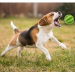 AG684C BILĂ DE DINȚĂ PENTRU BALSAȚE