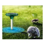 Repelenti dispozitive alungatoare dăunători, insecte și rozătoare, Relepent anti cartite rozatoare solar cu v -2, dioda.ro