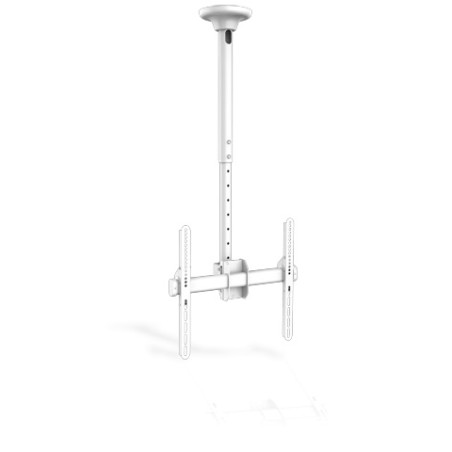 suport tv montare tavan 32'' - 80'' reglabil, inclinabil, max 50kg, jolly