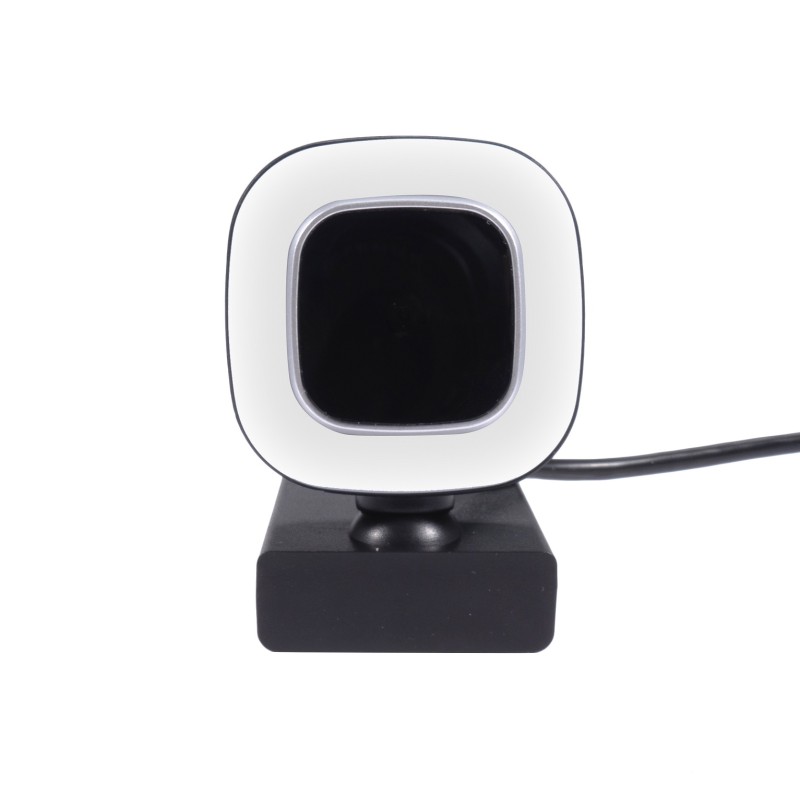 camera web well 1080p, cu microfon, h264 camera web well 1080p, cu microfon, h264