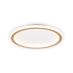 plafoniera gold 40w 40cm 3000-6500k, auriu, erste