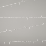 instalatie craciun alb 200led 10m ip44