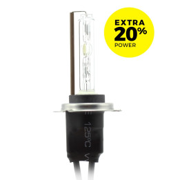 Becuri Auto, BEC XENON H7 -5K  +20% Extra Power -1, dioda.ro