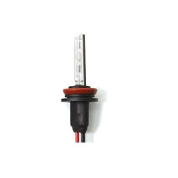 Becuri Auto, BEC XENON H8-4,3K -1, dioda.ro