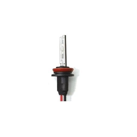 Becuri Auto, BEC XENON H8-4,3K -1, dioda.ro