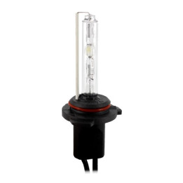 Becuri Auto, BEC XENON 9006 4300K - HB4 -1, dioda.ro
