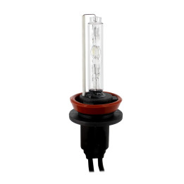 Becuri Auto, BEC XENON H8-6000K -1, dioda.ro