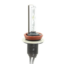 Becuri Auto, BEC XENON H9-4300K -1, dioda.ro