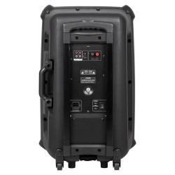 sistem audio portabil sd bluetooth usb 15 inch 60w