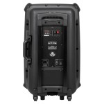 sistem audio portabil sd bluetooth usb 15 inch 60w