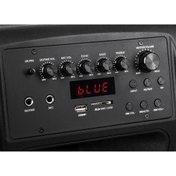 sistem audio portabil sd bluetooth usb 15 inch 60w