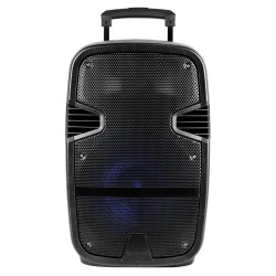 boxa bluetooth portabila 30w pmg220 platinet