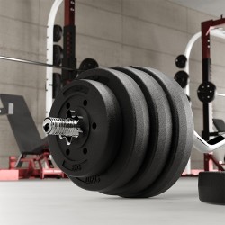 disc greutate compozit set 4 x 2.5 kg rebel active