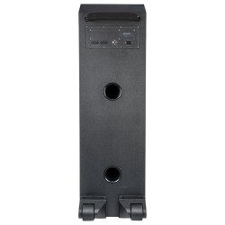 boxa portabila 2x10" bluetooth/aux/usb + mic wireless uhf