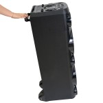 boxa portabila 2x10" bluetooth/aux/usb + mic wireless uhf