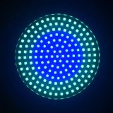 par led rgb 175 led-uri matrix
