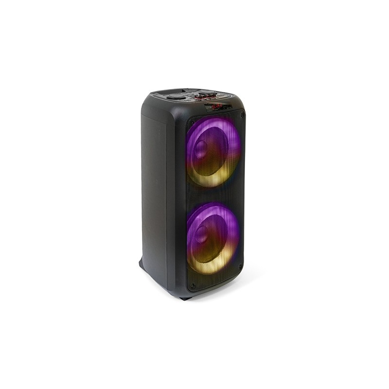 boxa portabila 2x8"/20cm 150w rms