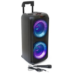 boxa portabila 2x8"/20cm 150w rms