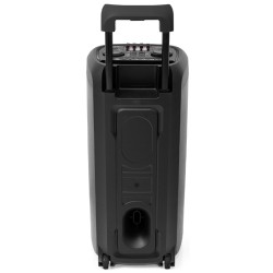 boxa portabila 2x8"/20cm 150w rms