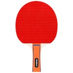 set tenis de masa ping pong rebel active