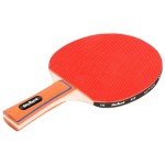 set tenis de masa ping pong rebel active