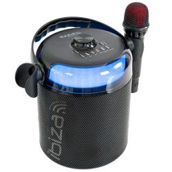 boxa karaoke cu 2 microfoane wireless bt/usb/msd/aux - negru