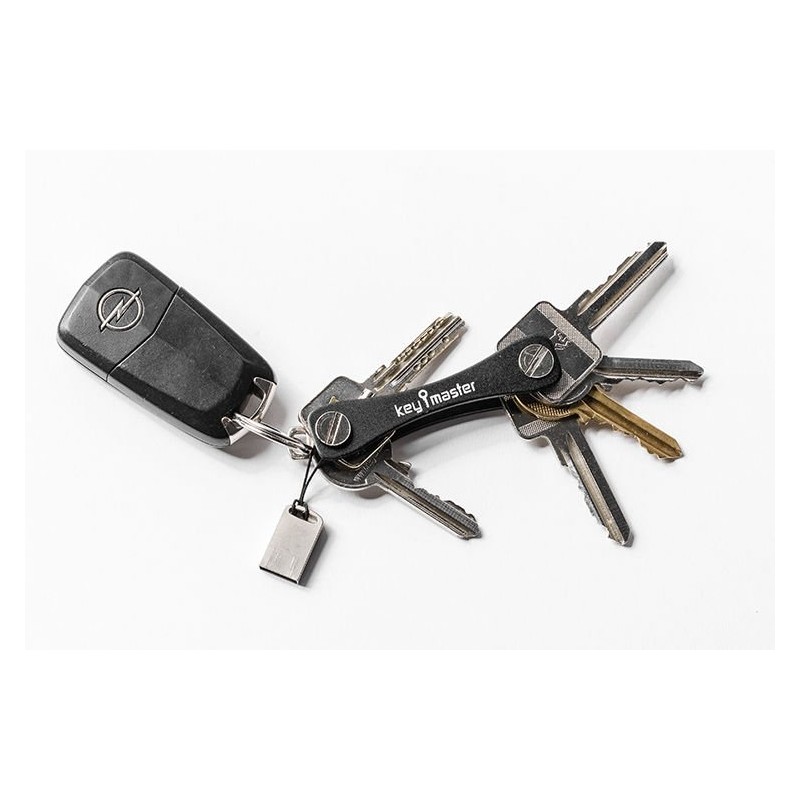 Master cheie - negru
