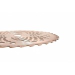 disc motocositoare nr. 10/255 cu vidia mf