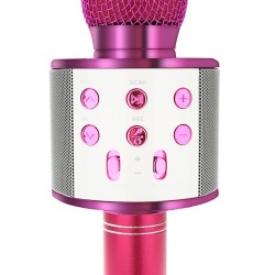 microfon karaoke - roz izoxis 22191