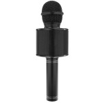 microfon karaoke - negru izoxis 22189