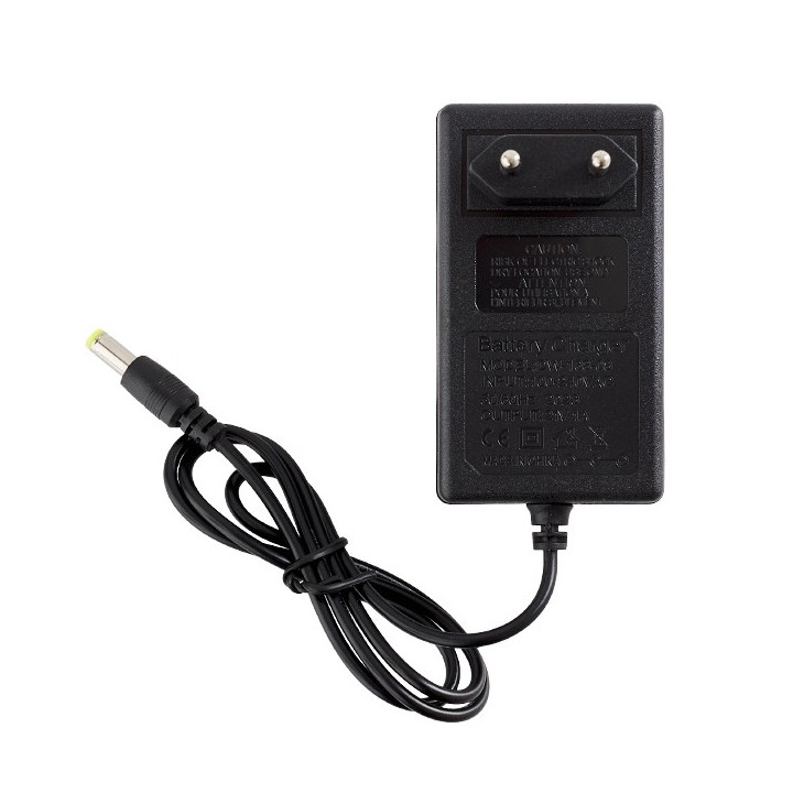 Mini drujba cu 2 acumulatori Li-Ion 21V, Manusi si Ochelari de rezerva, Lant de rezerva