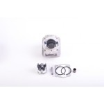 set motor complet 40mm pentru motocositoare set motor complet 40mm pentru motocositoare