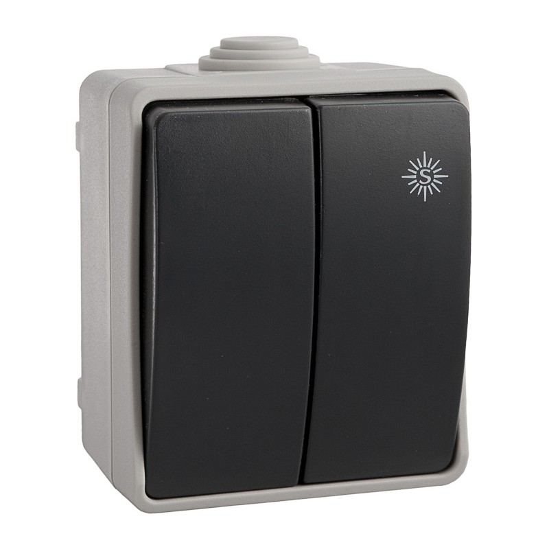 intrerupator dublu solera 3313 aparent gri ip54