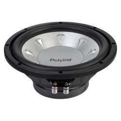 subwoofer auto 300mm 500w