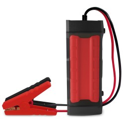 redresor auto rc-10 konnwei