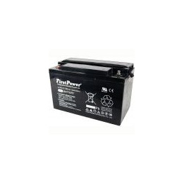 12V 100Ah Acumulator cu Gel Deep Cycle LFPG12100