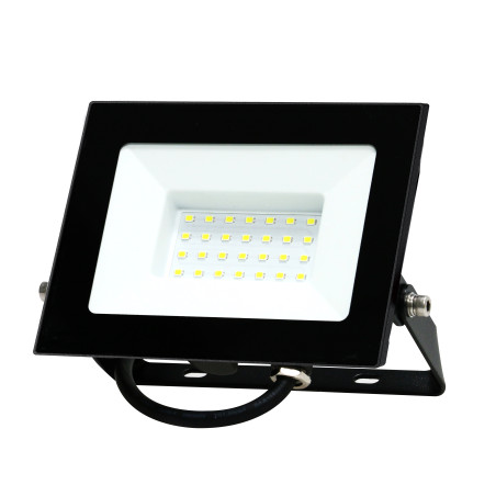 proiector led 30w  2510lm  ip65  6500k  negru  well