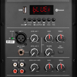 boxa portabila 12''/31cm 250w rms tws cu bt/usb + 2 mic wireless