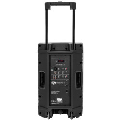 boxa portabila 12''/31cm 250w rms tws cu bt/usb + 2 mic wireless