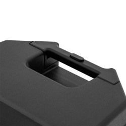 boxa portabila 12''/31cm 250w rms tws cu bt/usb + 2 mic wireless