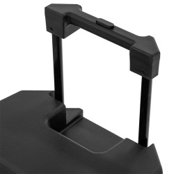 boxa portabila 12''/31cm 250w rms tws cu bt/usb + 2 mic wireless