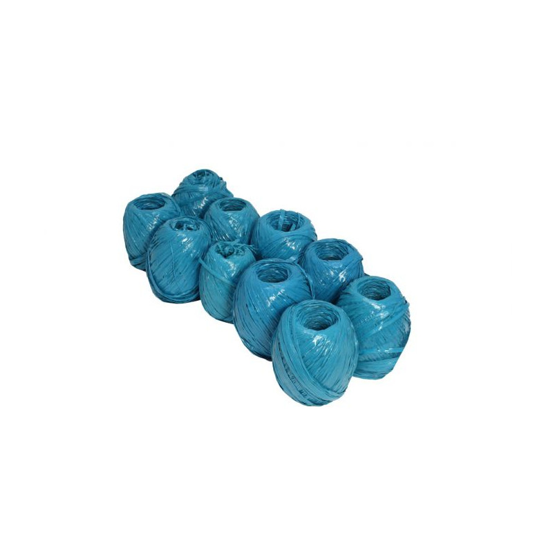 set 10 ata rafie 200gr